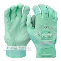 Rawlings  2025 WH25BG系列打擊手套(湖水綠)